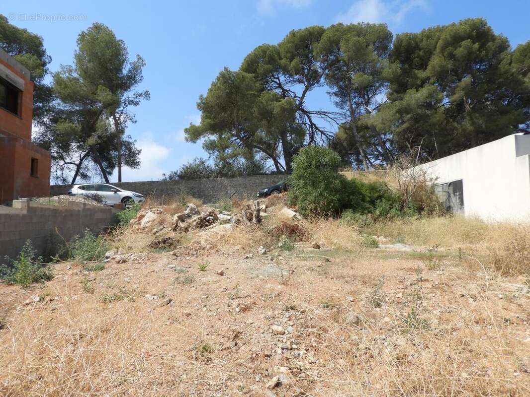 Terrain à FRONTIGNAN