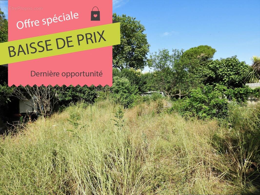 Terrain à MONTPELLIER