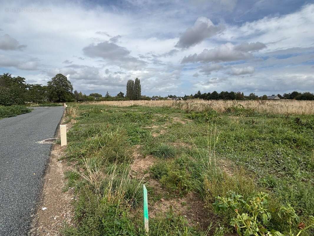 Terrain à LA MENITRE