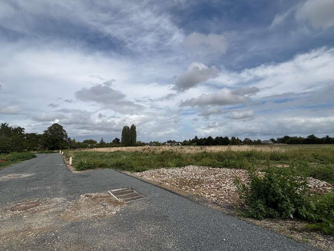 Terrain à LA MENITRE