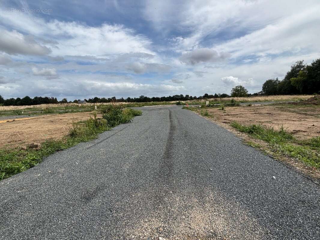 Terrain à LA MENITRE