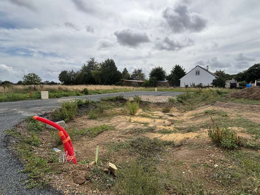 Terrain à LA MENITRE