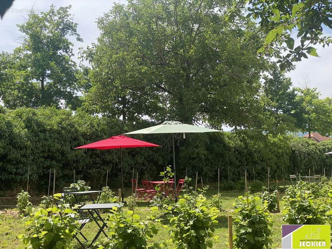 Appartement à BERGHEIM