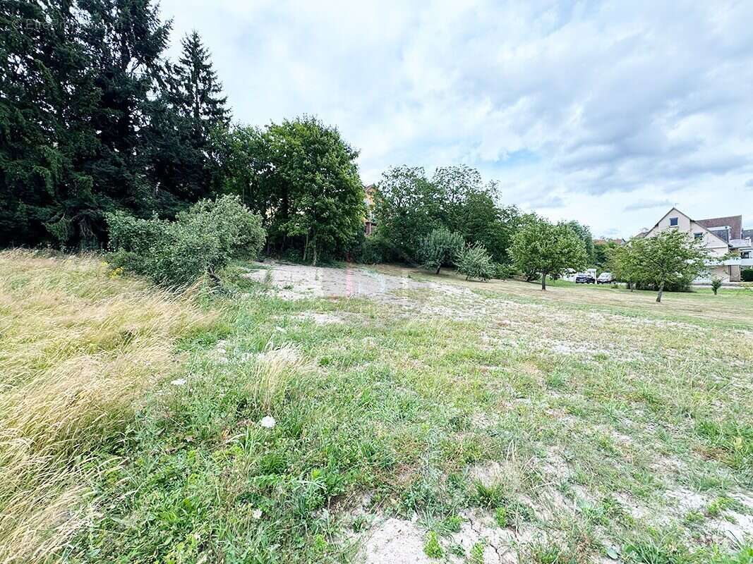 Terrain à VILLE