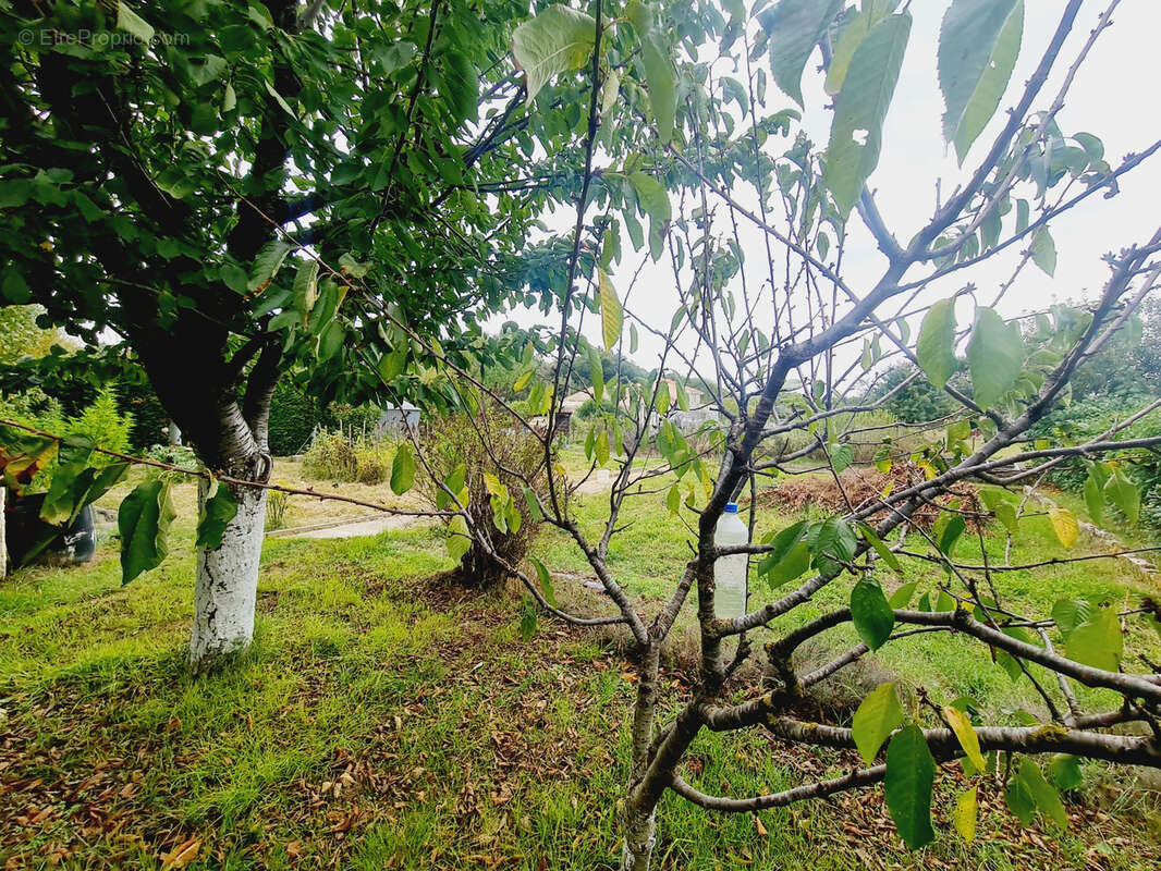 Maison à LABARTHE-SUR-LEZE