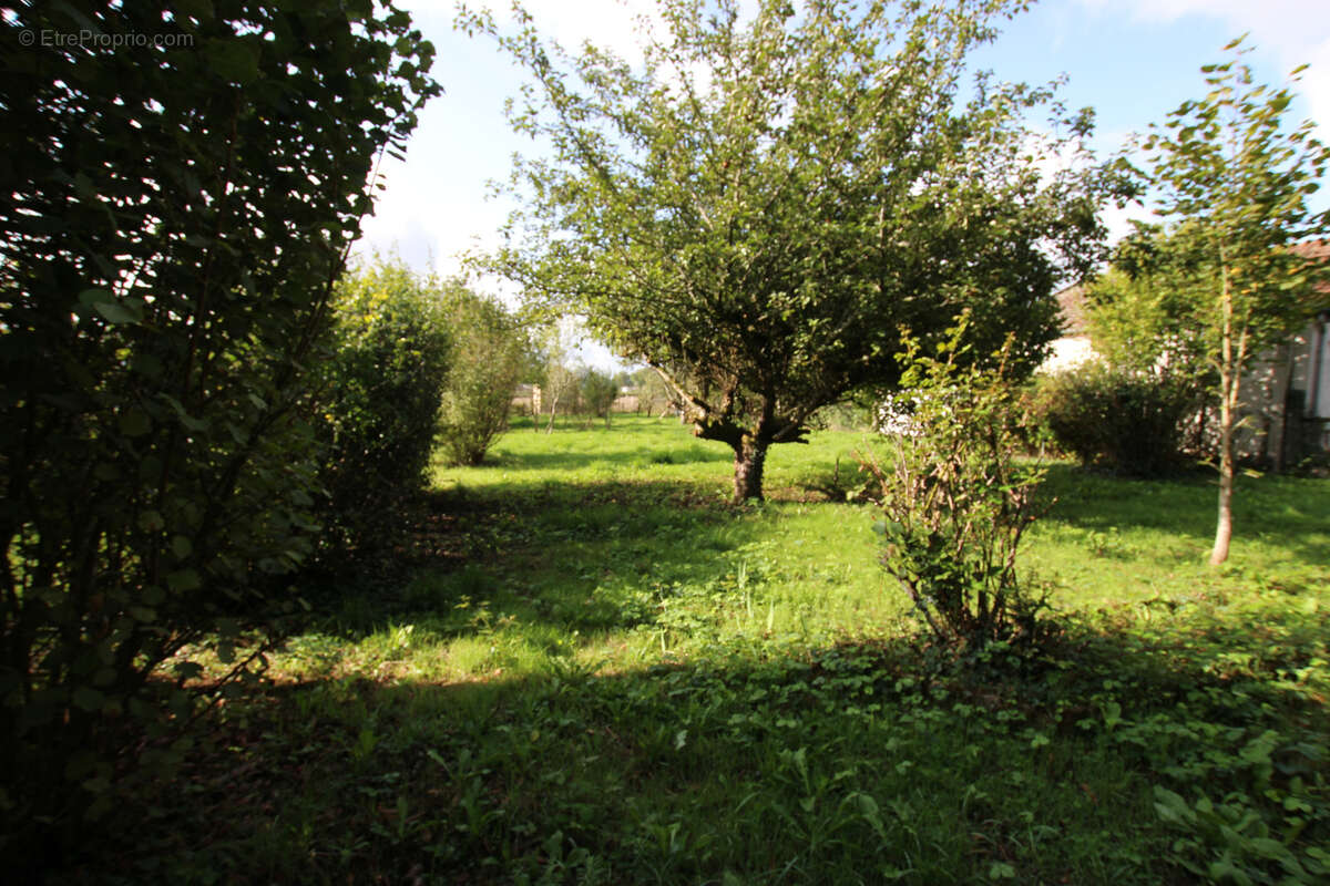 Maison à SAINT-FORGEOT