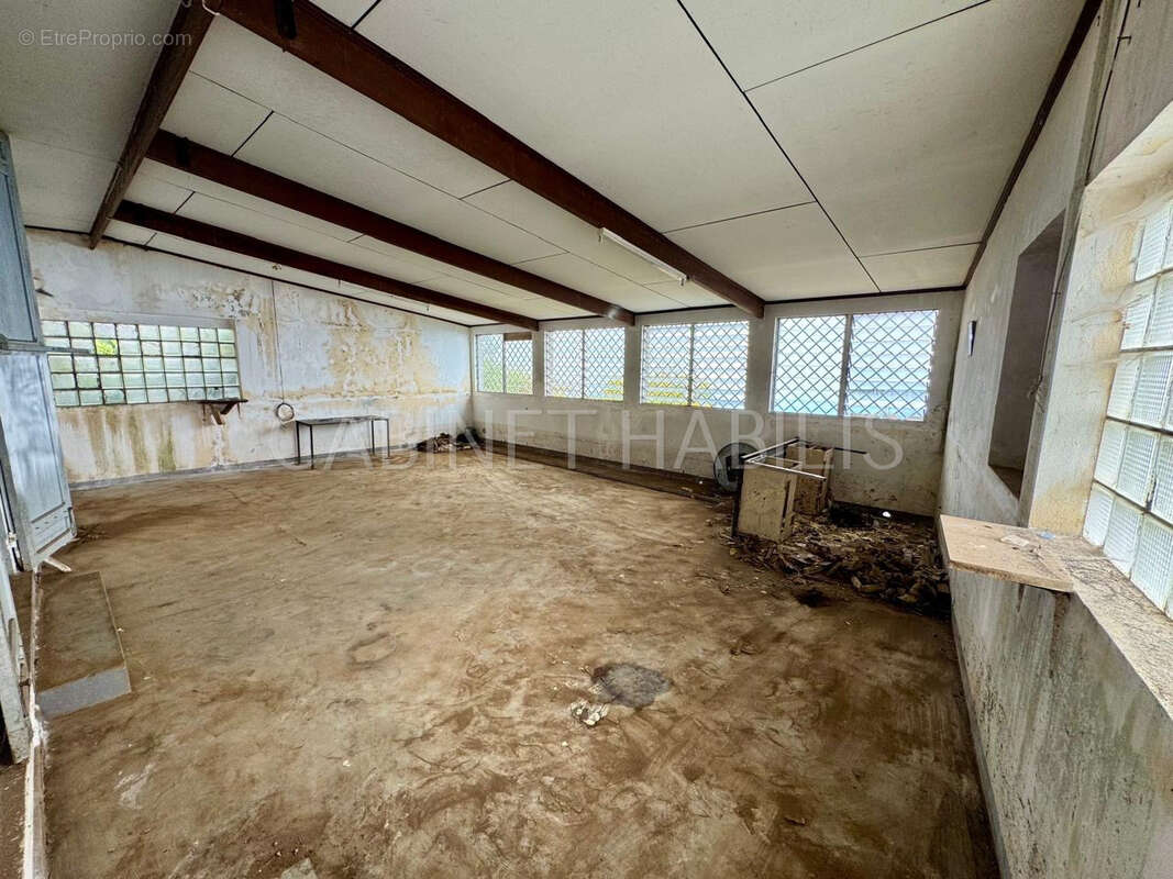 Commerce à SAINT-LEU