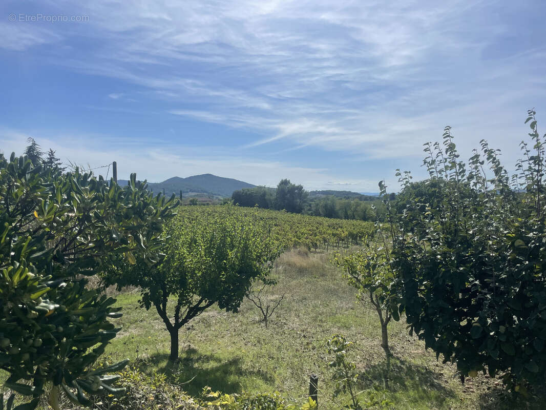 Maison à VAISON-LA-ROMAINE