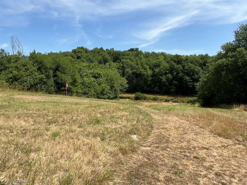 Maison à NANTEUIL-EN-VALLEE