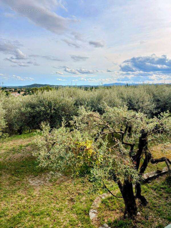 Maison à SAINT-CHRISTOL-LES-ALES