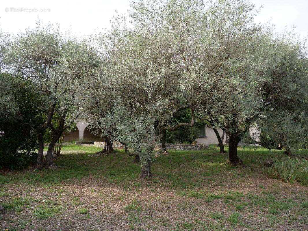 Maison à SAINT-CHRISTOL-LES-ALES