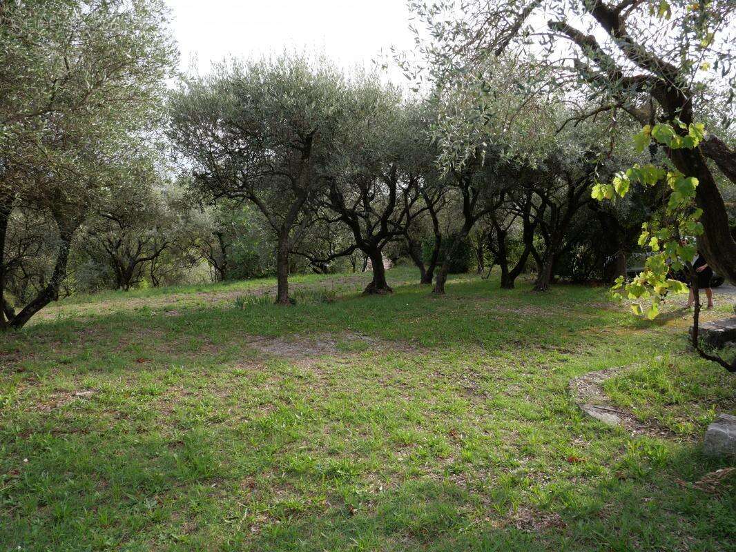 Maison à SAINT-CHRISTOL-LES-ALES