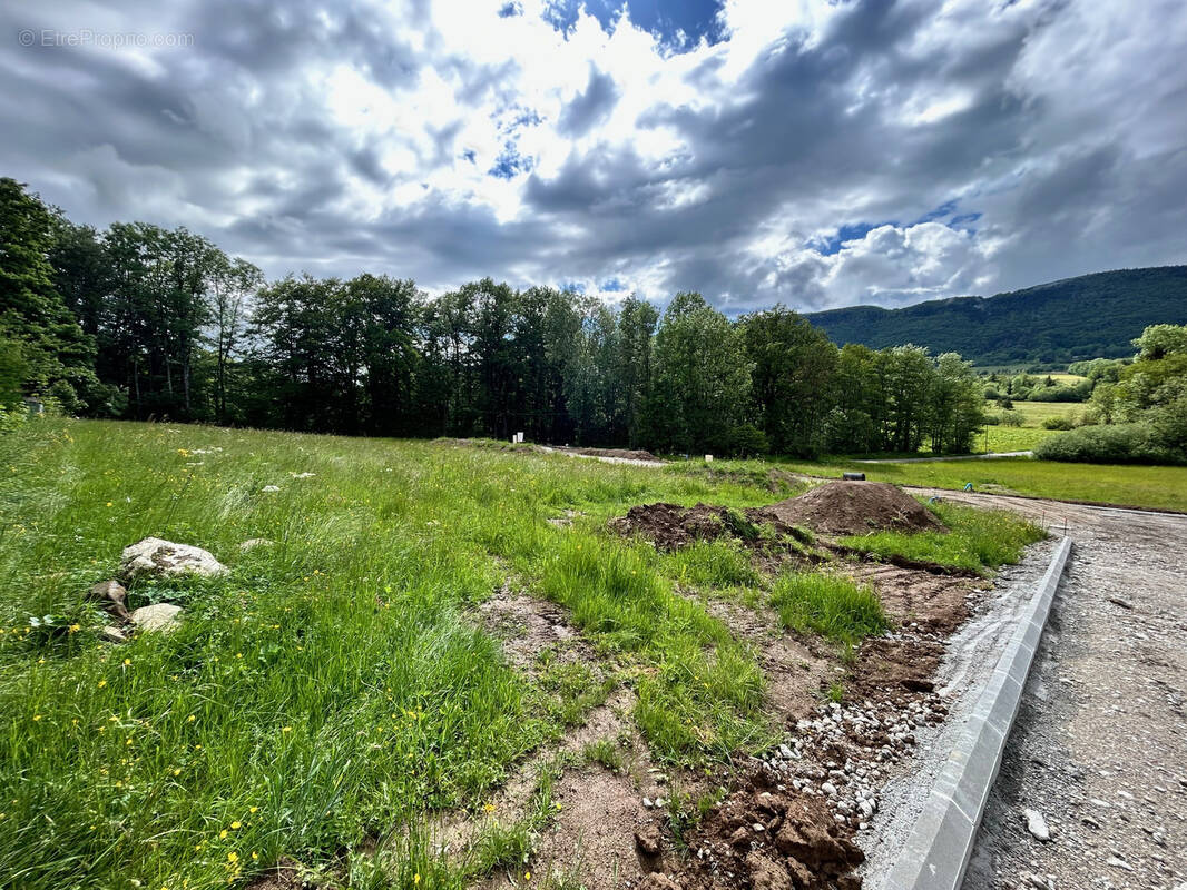 Terrain à ARBUSIGNY