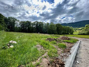 Terrain à ARBUSIGNY
