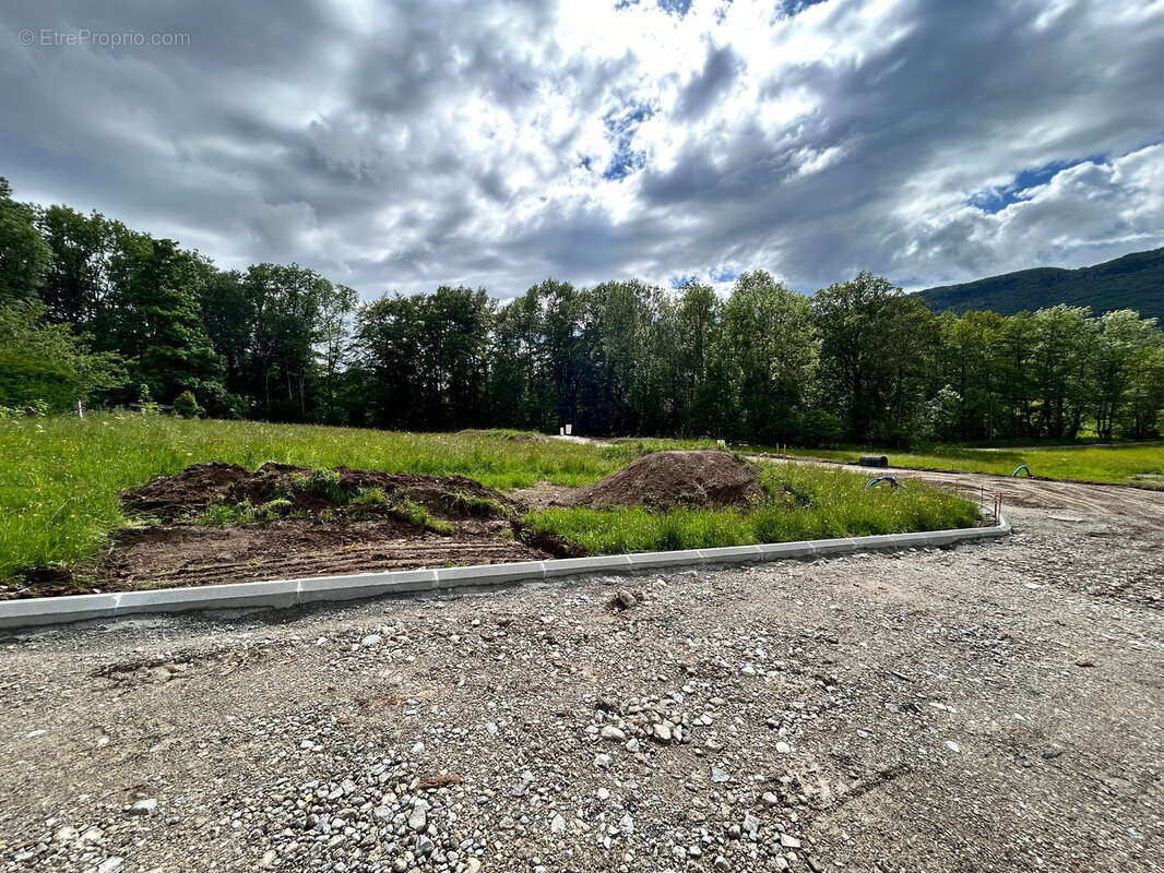 Terrain à ARBUSIGNY