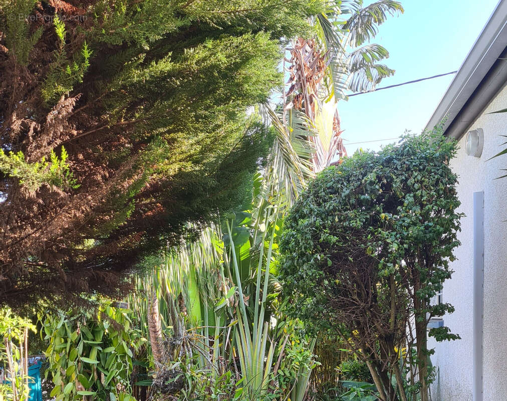 Maison à SAINTE-MARIE