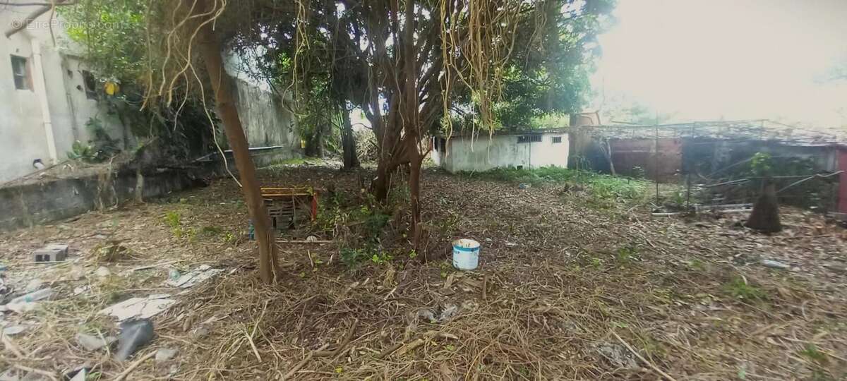 Terrain à SAINT-PIERRE