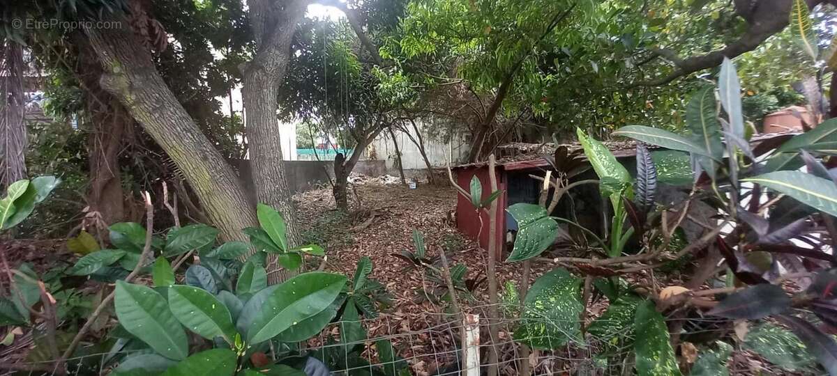 Terrain à SAINT-PIERRE