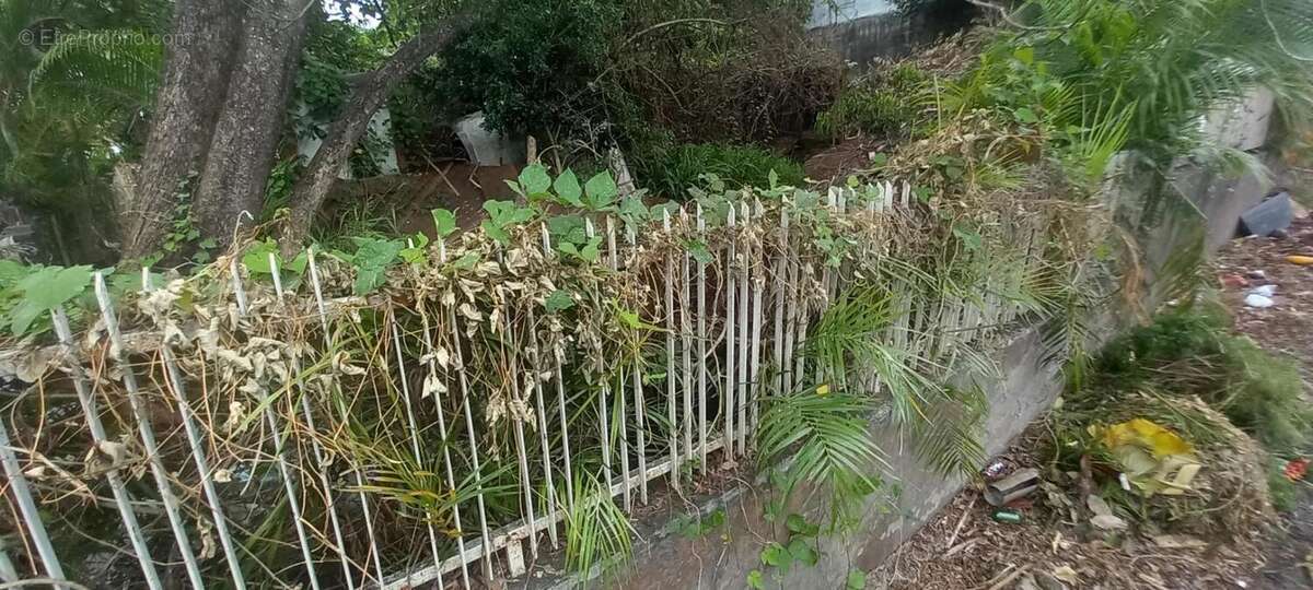 Terrain à SAINT-PIERRE
