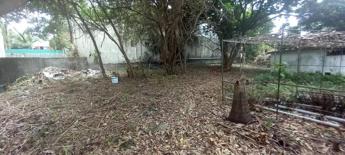 Terrain à SAINT-PIERRE