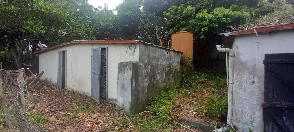 Terrain à SAINT-PIERRE