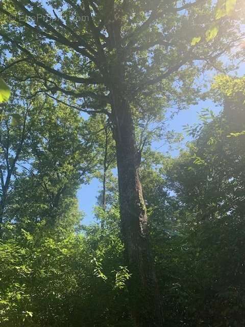 Maison à LE BAILLEUL