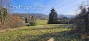 Terrain à JUJURIEUX
