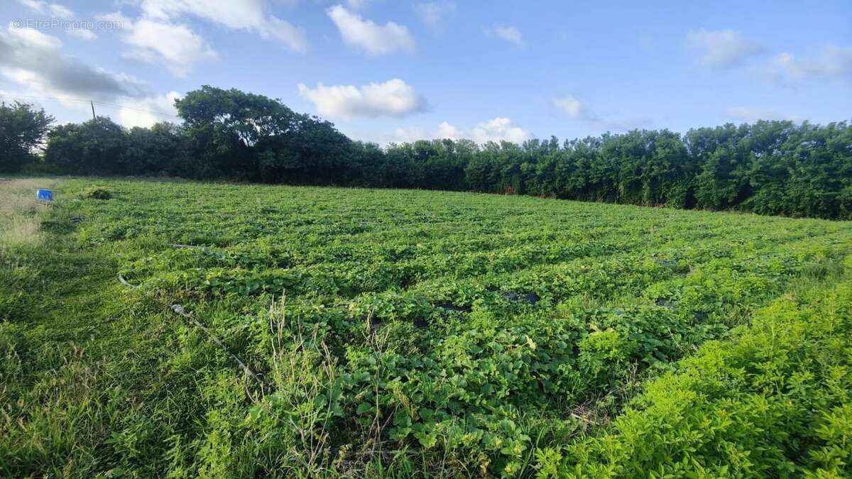 Terrain à LE VAUCLIN