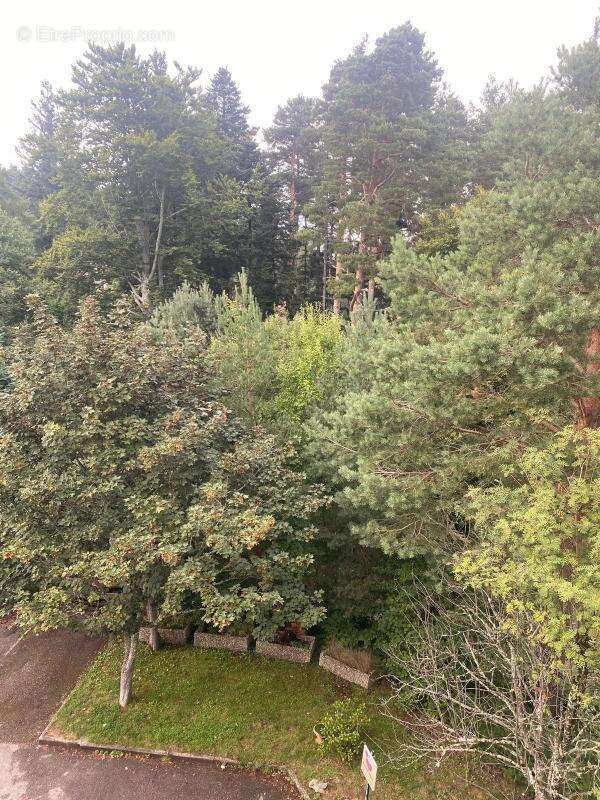 Appartement à RIEDISHEIM