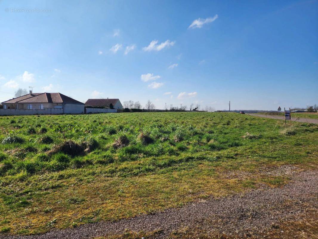 Terrain à SEURRE