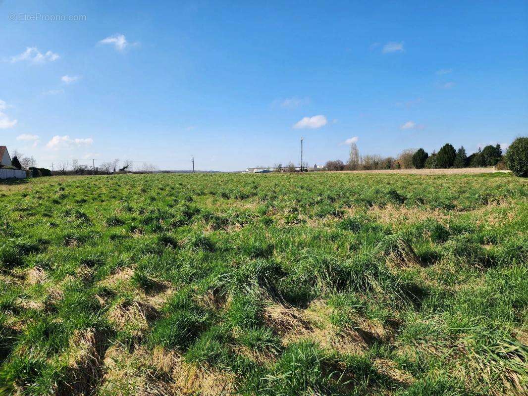 Terrain à SEURRE