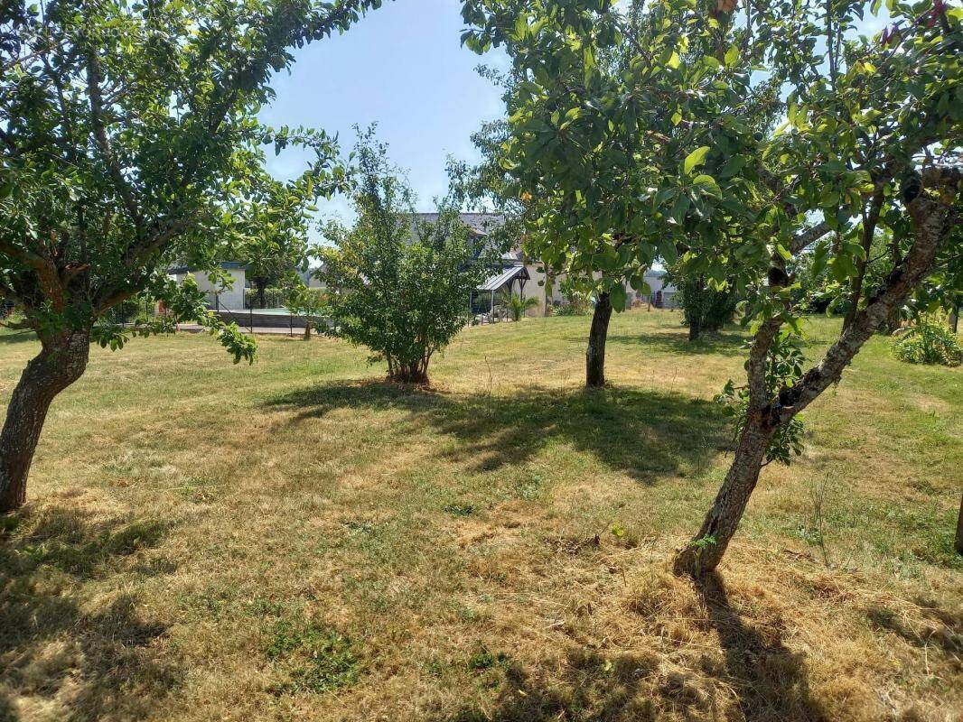 Maison à SAINT-MARTIN-DES-BOIS