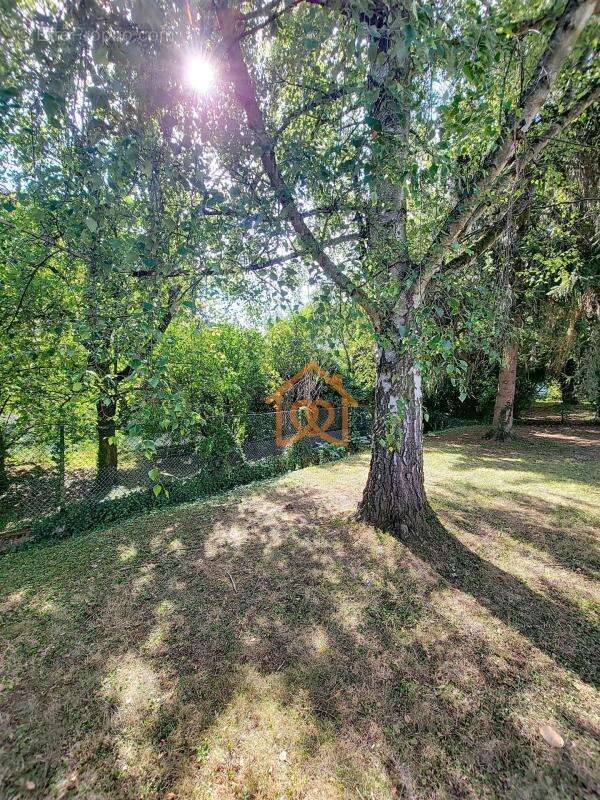 Appartement à OBERHAUSBERGEN