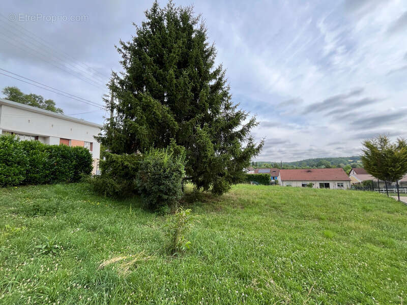 Terrain à FAINS-VEEL