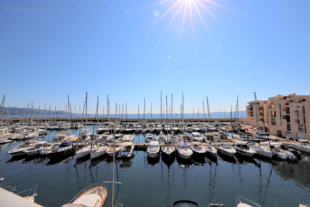 Commerce à BORMES-LES-MIMOSAS