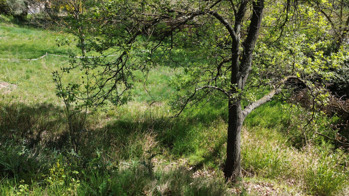 Terrain à PUILACHER