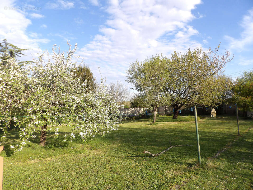 Maison à SAINT-SAVINIEN