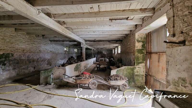 Maison à NOYAL-PONTIVY