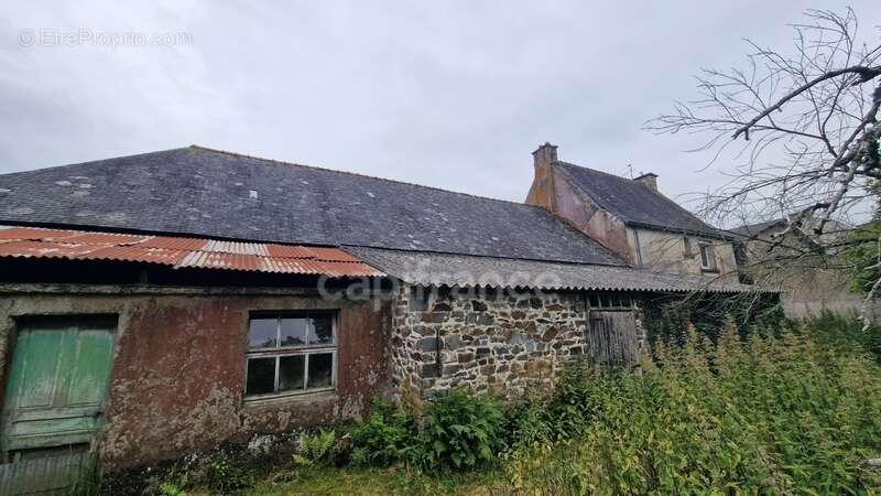 Maison à NOYAL-PONTIVY
