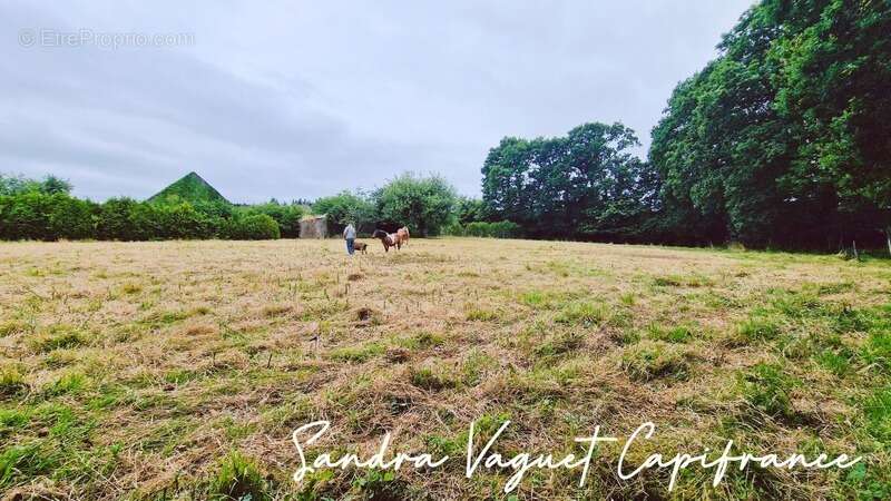 Maison à NOYAL-PONTIVY