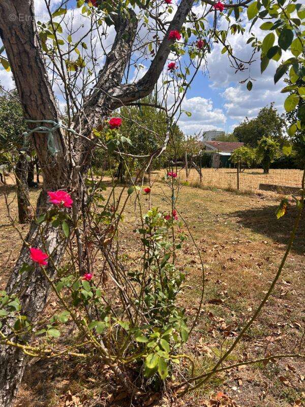 Terrain à LORMONT
