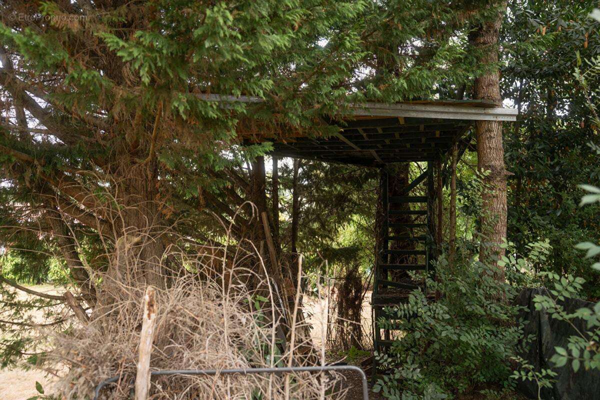 Terrain à AUBIE-ET-ESPESSAS