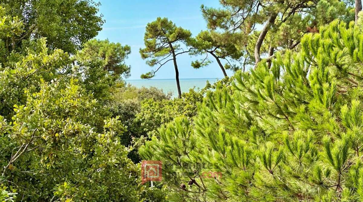 Appartement à VAUX-SUR-MER