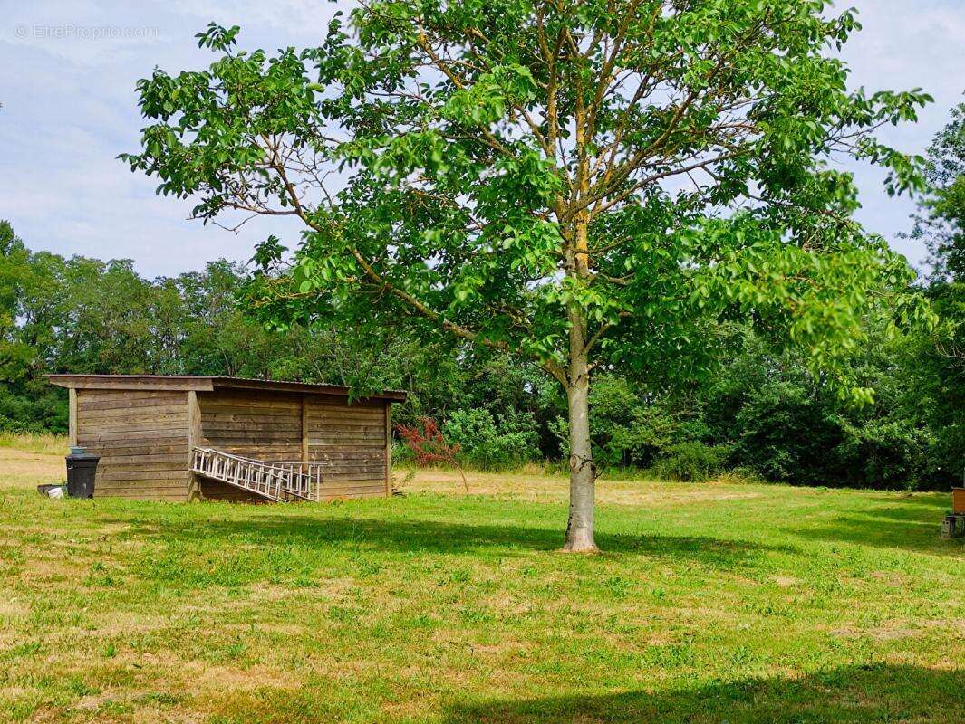 Maison à TOURNON-SAINT-PIERRE