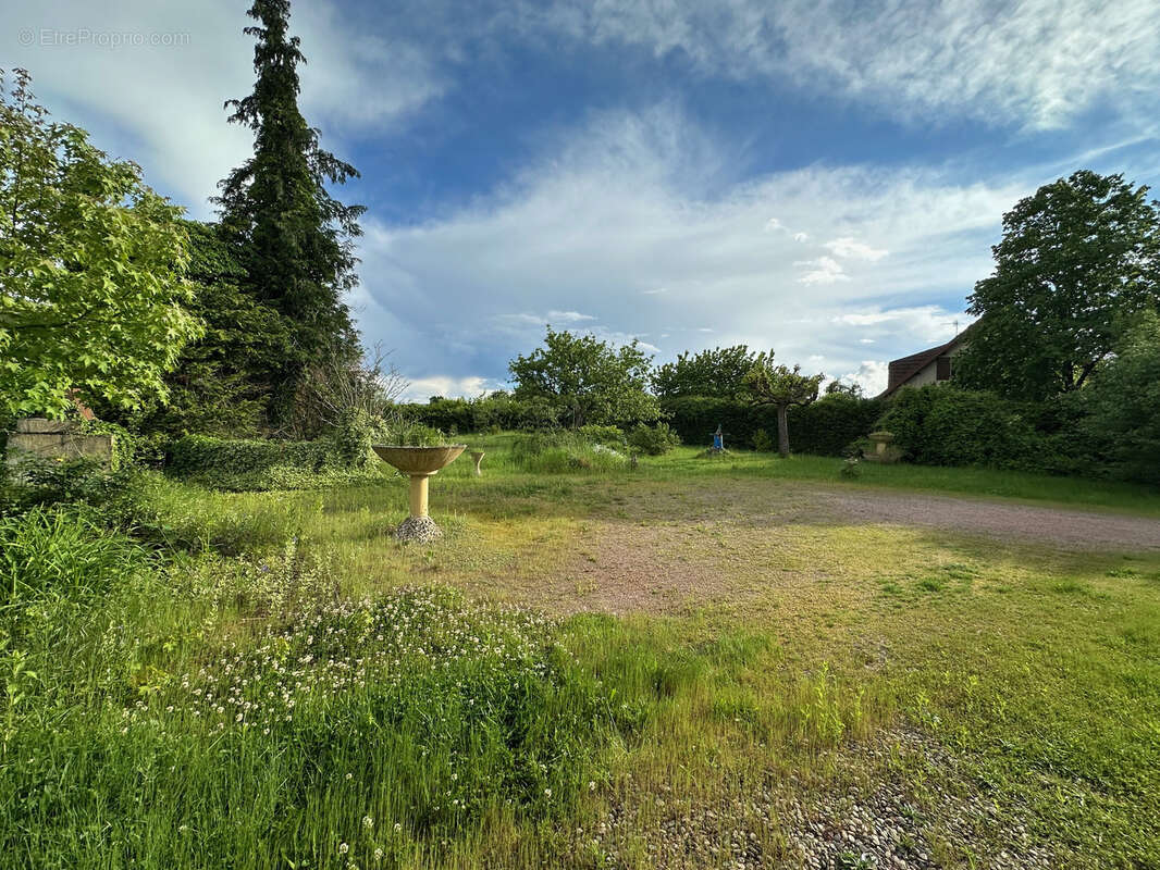 Maison à SAINT-GERMAIN-LESPINASSE