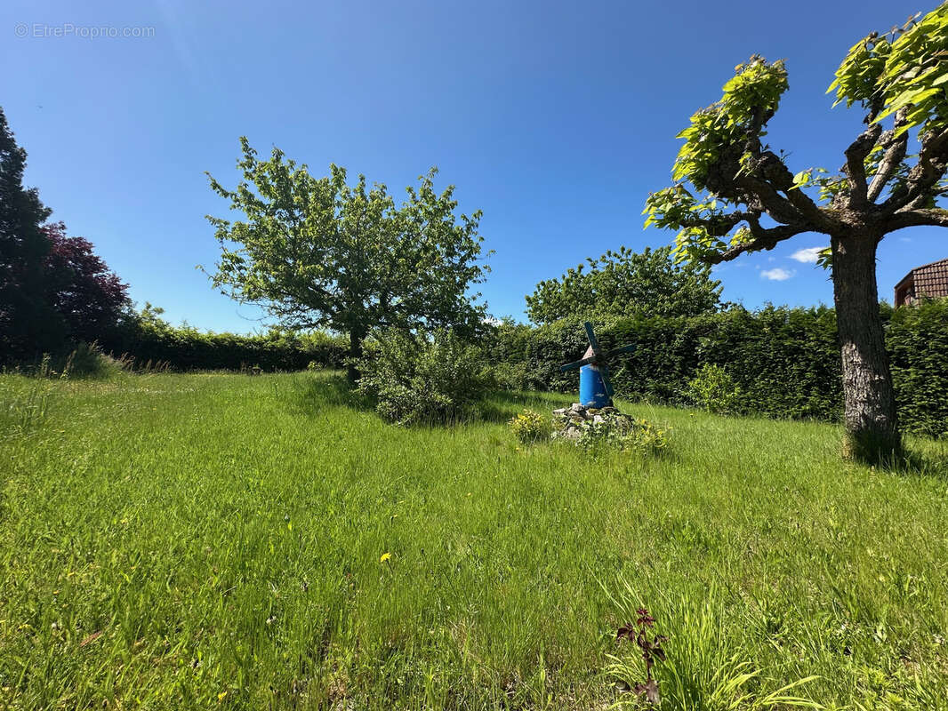 Maison à SAINT-GERMAIN-LESPINASSE