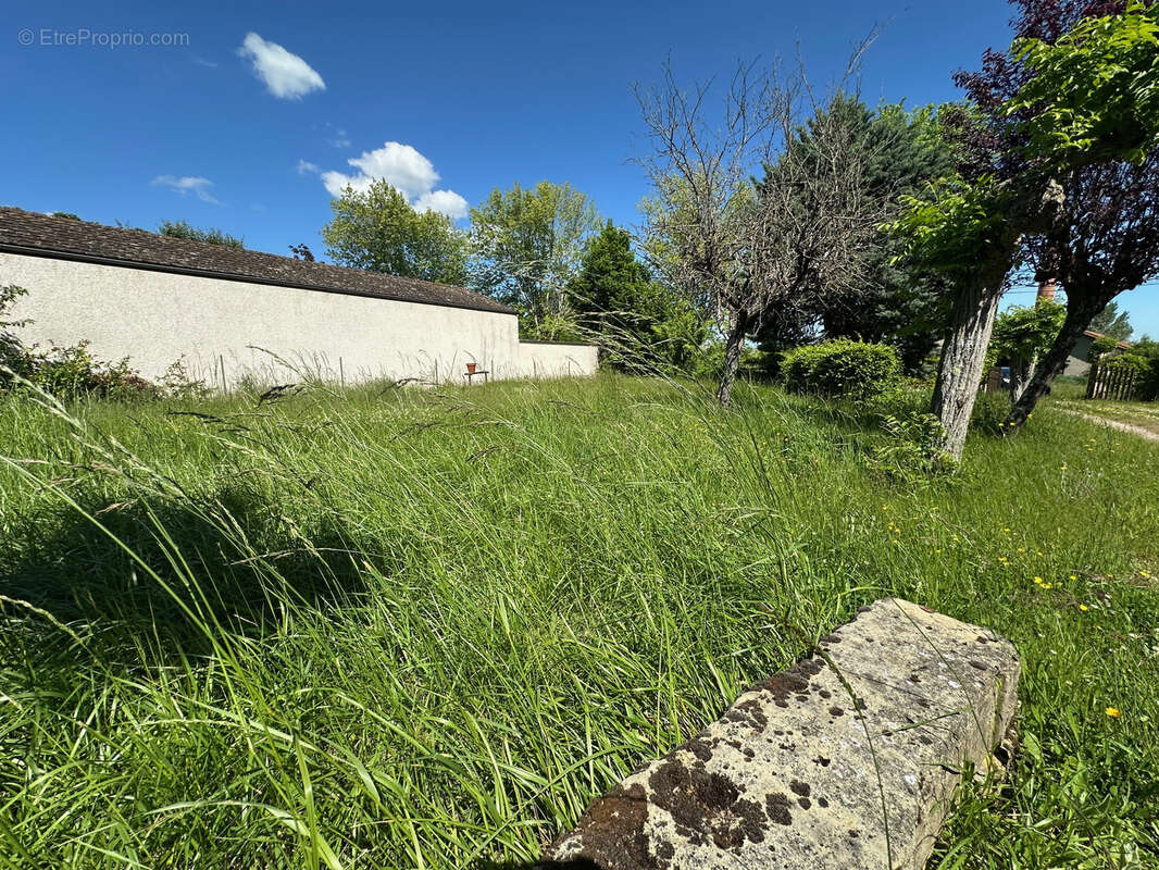 Maison à SAINT-GERMAIN-LESPINASSE