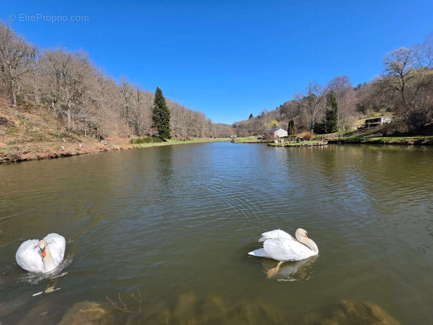 Maison à CHAPDES-BEAUFORT
