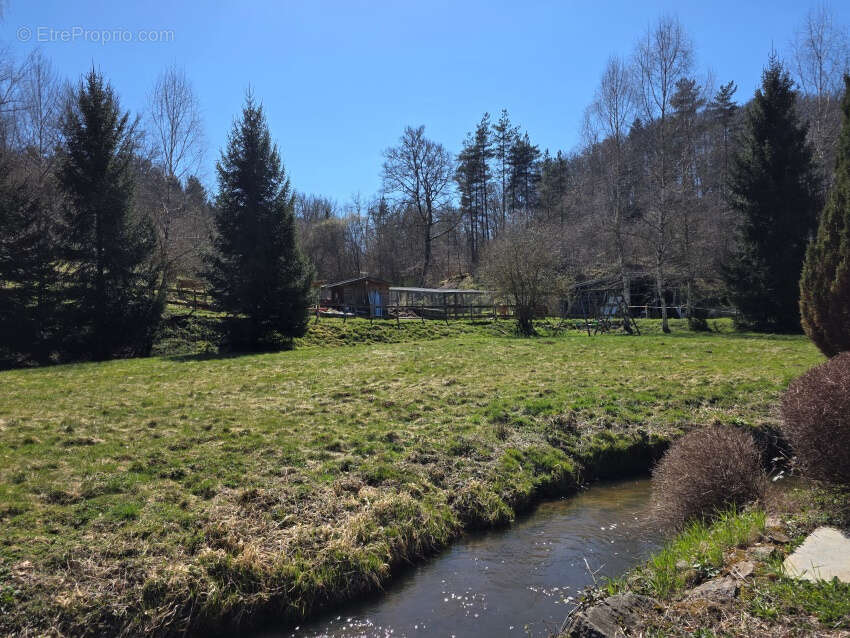 Maison à CHAPDES-BEAUFORT