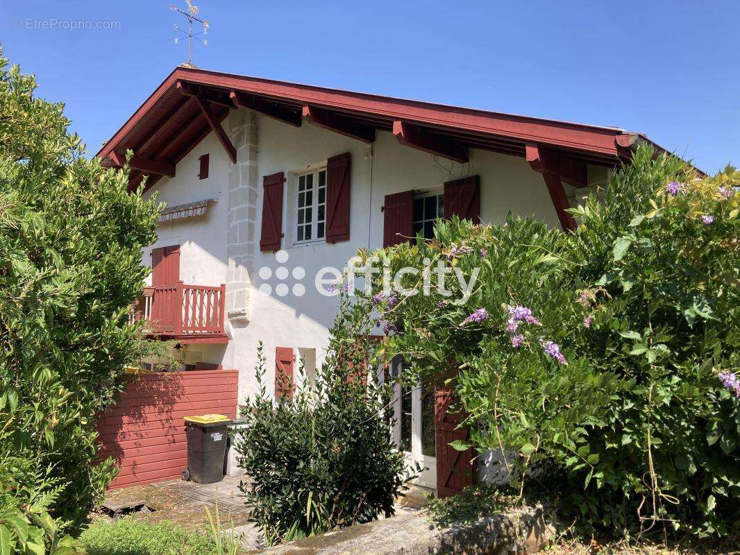 Appartement à CAMBO-LES-BAINS